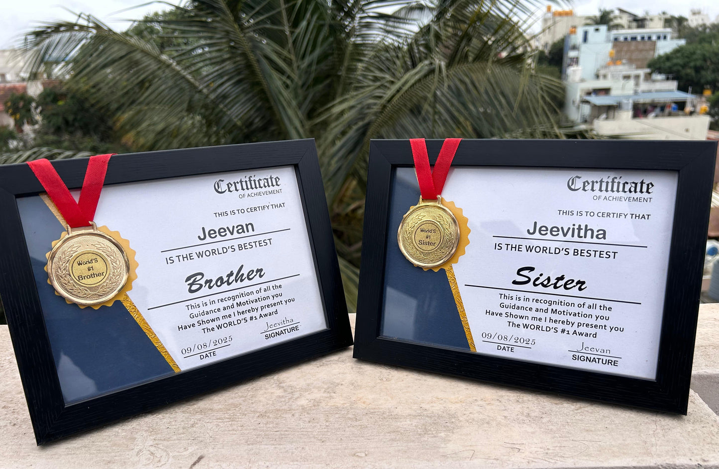 Award Frame with Certificate & Medal